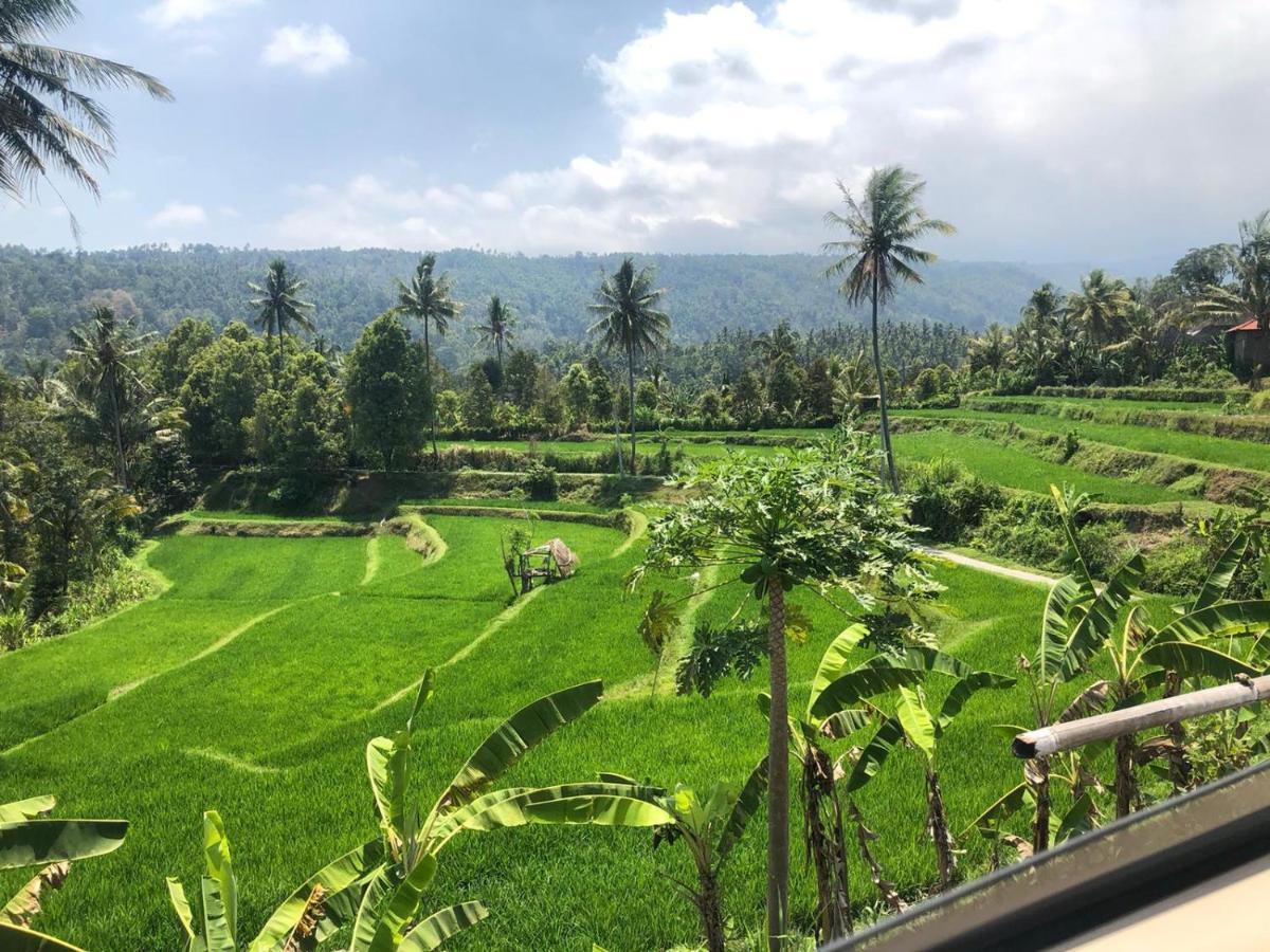 Tegal Sari, Pemuteran- North Bali Hotel Exterior foto