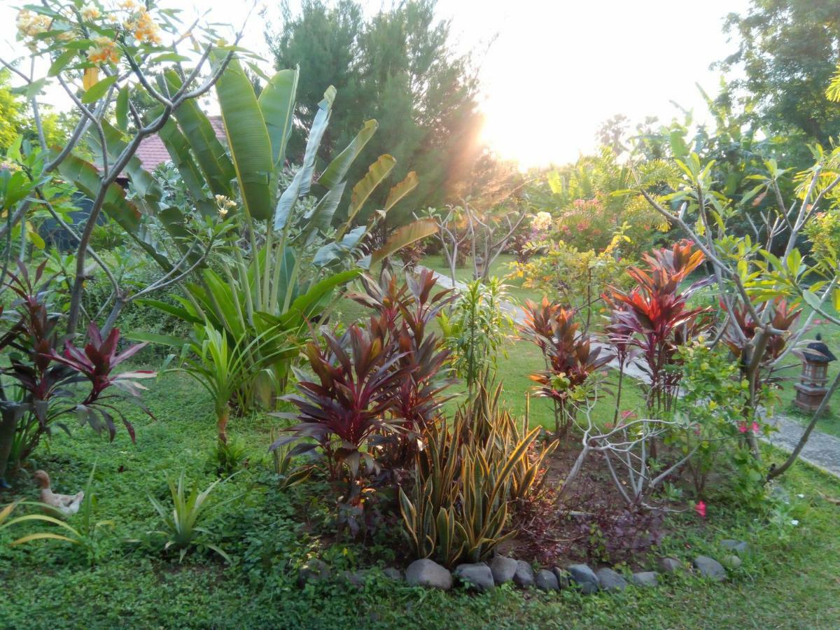 Tegal Sari, Pemuteran- North Bali Hotel Exterior foto